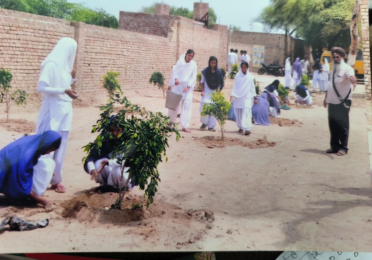Students planting saplings in the school campus